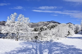 snow-1966943_960_720.jpg